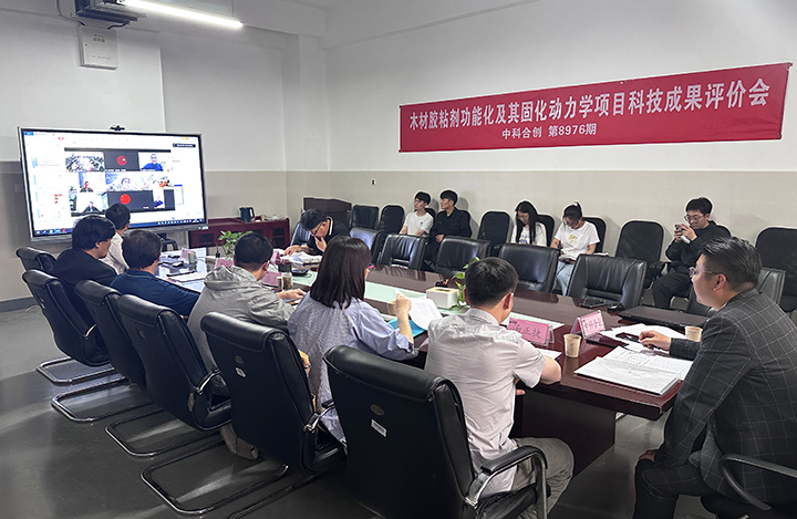 木材胶黏剂复合固化动力学及其协同增效机制 anli.jpg